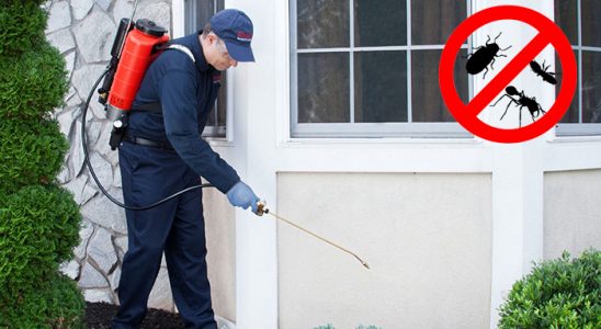 Bartın Dezenfeksiyon böcek ilaçlama ve haşere kontrolü — ilaclama-tr.com